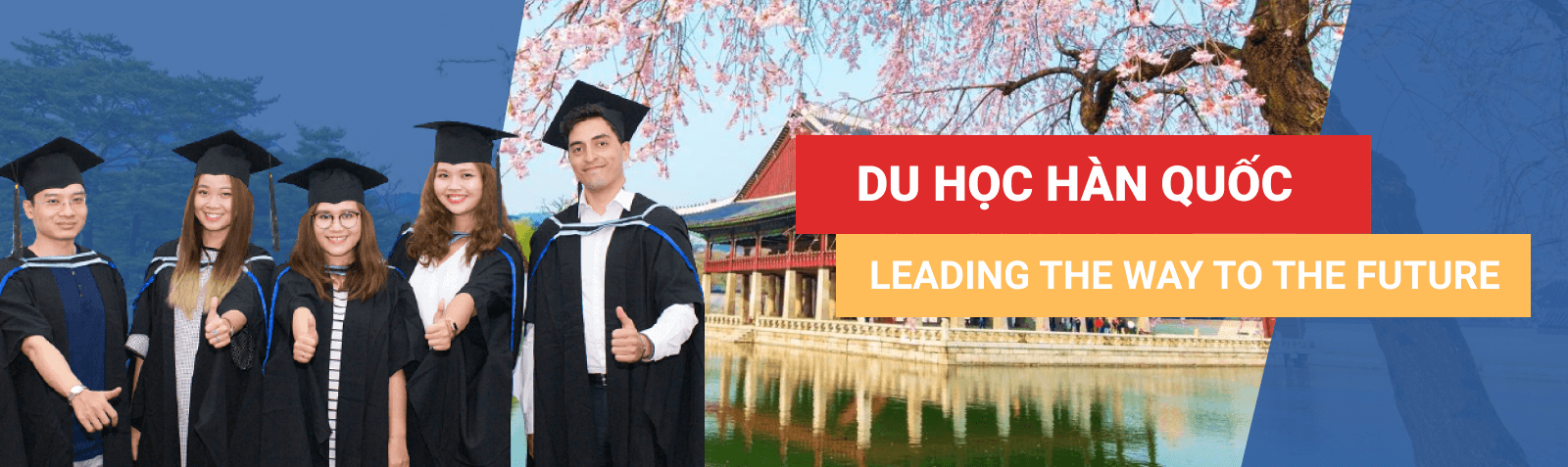Baner du học Hàn Quốc 2 Baner du học Hàn Quốc 2